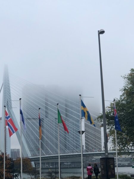 flags on poles during daytime